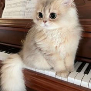 Fearless pt.II (sped up)