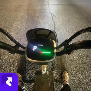 青春的自由气息 (现场)