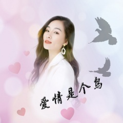 爱情是个鸟 (DJ版)