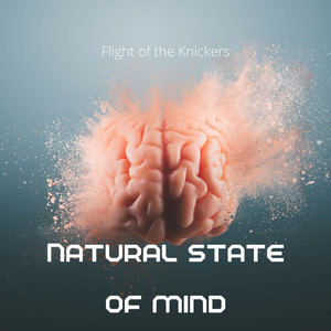 Alprazolam Antipyretics