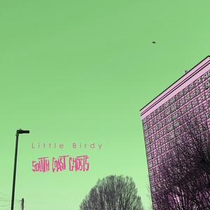 Little Birdy (feat. Diamondback Kid, Tommy Brown, John Hicks, Teddy Trumpet, Georgie, Fugitive Orchestra & Dan Barrow)