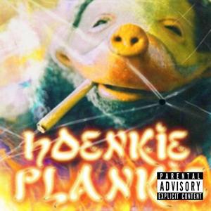 Hoenkie Plankie Techno