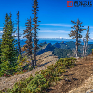 童话镇（大自然钢琴曲）