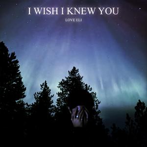 I WISH I KNEW YOU