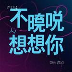 突然好想你 (Cover 徐佳莹) - 司空月白 专辑封面