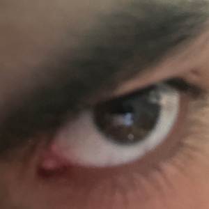 Elegido (Spanish Remix) Low Budget, Pt. 1