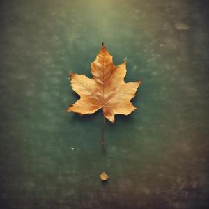 NAME SWEETY by ಶ್ರೀಕವಿ 🤗🤩