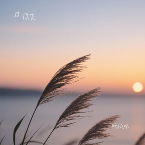 晚风叹（释怀版）