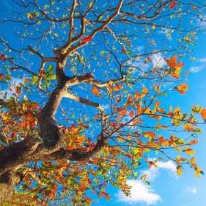 我的天空中没有太阳