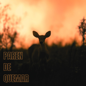 Paren de Quemar