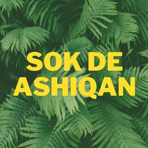 Sok De Ashiqan