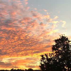 Radio Silence(Prod.Puppet)