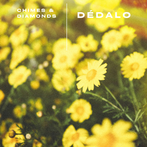 Dédalo
