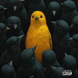 FREE (feat. Andy julc, Suc sexx & Westside boogie)