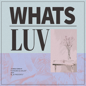 Whats Luv