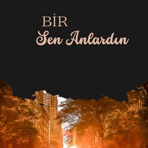 Bir Sen Anlardın