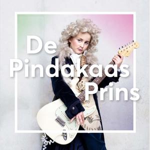 Voorstellen (feat. Holland Baroque)