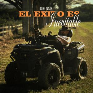 EL EXITO ES INEVITABLE