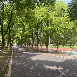 《神明雨》