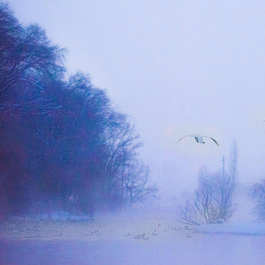 你把我和爱情丢了 (助眠钢琴曲)