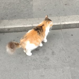 黄龙江一派带蓝牙