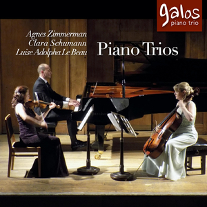 Piano Trio in G Minor, Op. 17: IV. Allegretto