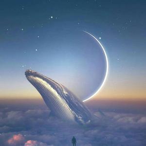 我不是你的宋冬野