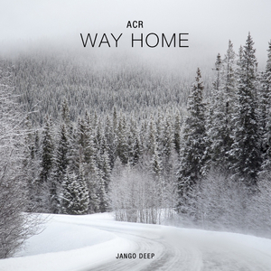 Way Home (Original Mix)