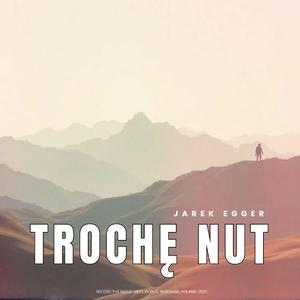 Trochę nut