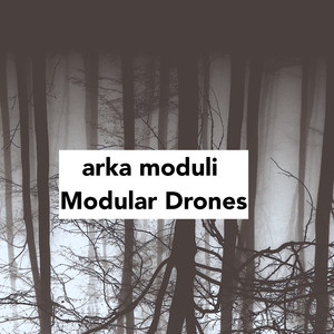 Modular Drones