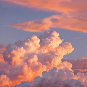 Coffee Shop Confessions