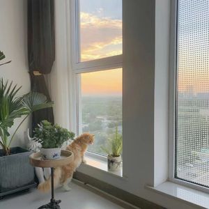 请为我开一扇窗