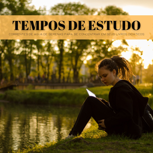 A Maneira Correta De Estudar