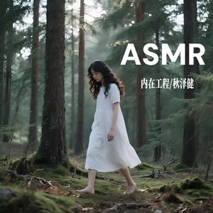 ASMR-内在工程-修复自我