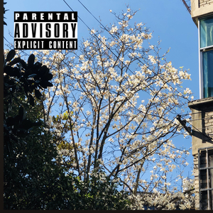 给时间一点时间