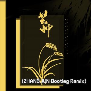 音阙诗听-芒种 (ZHANG JUN Bootleg Remix)（ZHANG JUN remix）