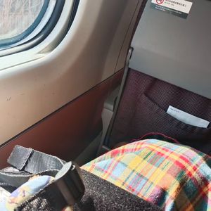 Fictional (Stripped)