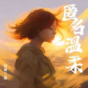 匿名温柔（DJ弹鼓版）