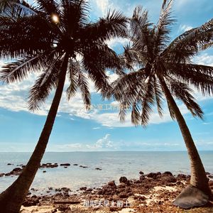 适合在家里工作器乐音乐