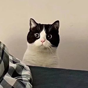 PLUTO(翻自某幻君)