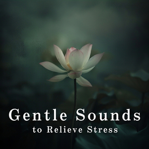 Serene Shores of Stillness