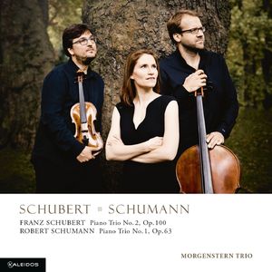 Piano Trio No. 2 in E-Flat Major, Op. 100: II. Andante con moto