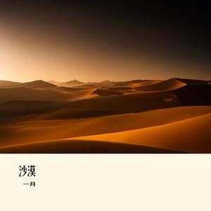 沙漠中的玫瑰