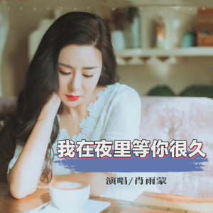 我在夜里等你很久