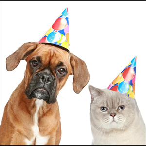 Baby Gravy (Bonus Track) (feat. Dr Rabbit, Nursey Lamb & Derek Fake-Seance))