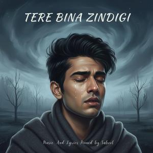 Tere Bina Zindagi