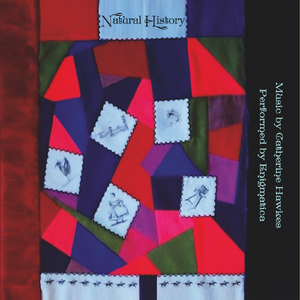 Views Through a Curtain: I. Rajasthan