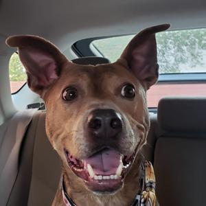 Step A Little Closer