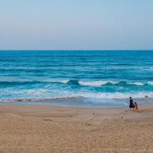 燕尾蝶(翻梁静茹)