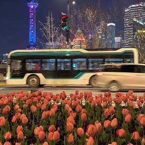 下辈子不一定还能遇见你